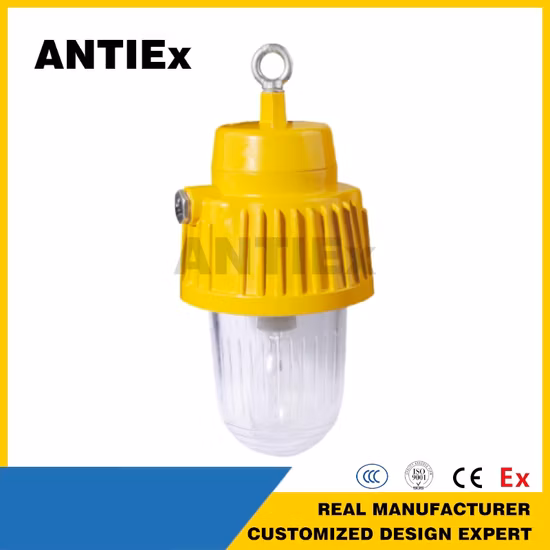70W 120W 150W Atex 조명 LED 폭발 방지 램프 구역 1 및 구역 2 주유소용 폭발 방지 조명 IP 66